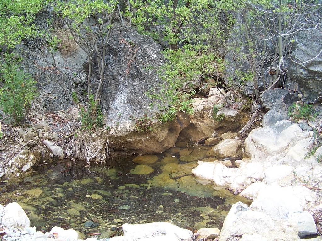 Hostal Sango Sierra De Las Nieves Alozaina Екстер'єр фото